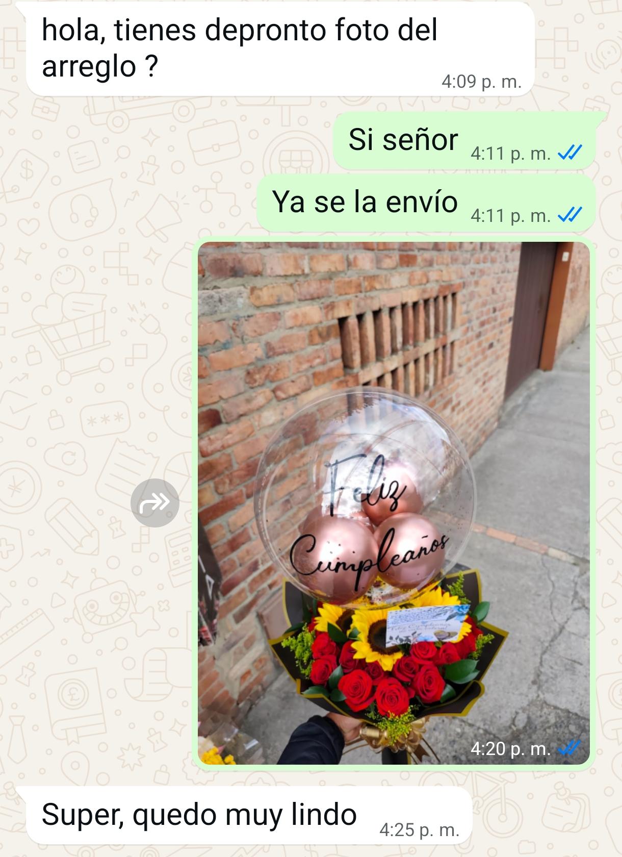 Evidencia de chat 2