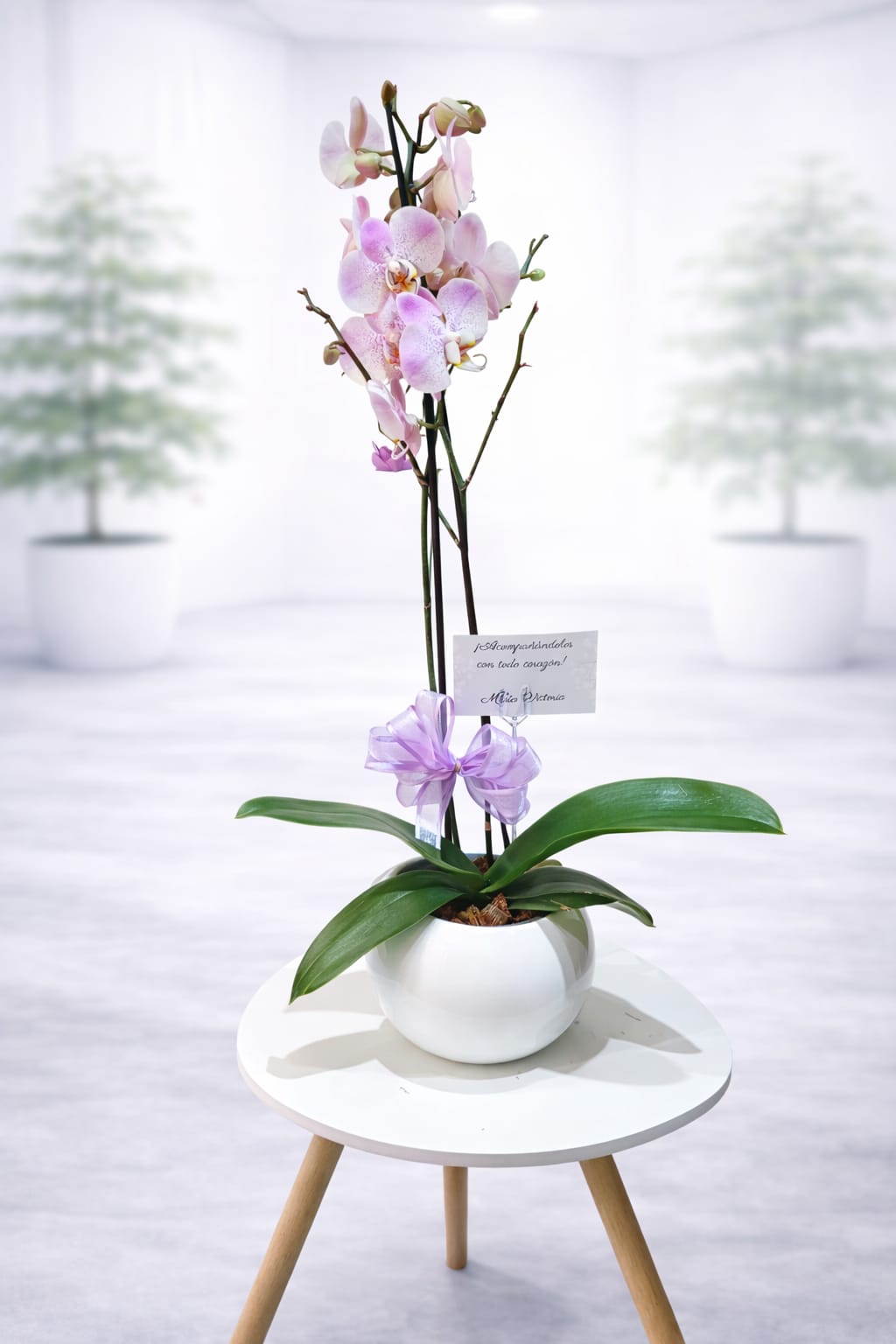 Orquidea 2 Varas con Base Decorativa Ceramica